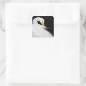 常にegrets スクエアシール (バッグ)