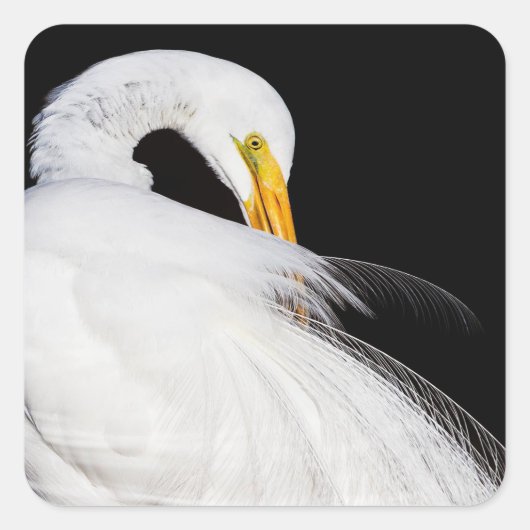 常にegrets スクエアシール (正面)