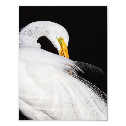 常にegrets フォトプリント            (正面)