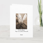 常のあなたのファン シーズンカード (裏面)