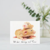 常のそして永久にラットの恋人 ポストカード (スタンド正面)