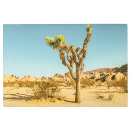 常周阿国立公園 メタルプリント