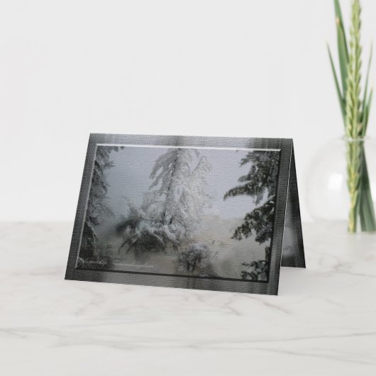 常緑の休日 シーズンカード (正面)