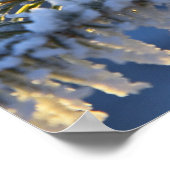 常緑の木に霜、ホマー、アラスカ ポスター (角)