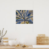 常緑の木に霜、ホマー、アラスカ ポスター (キッチン)