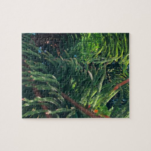 常緑の松の木の針葉樹 ジグソーパズル (横)