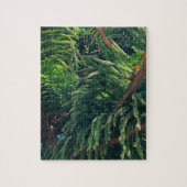 常緑の松の木の針葉樹 ジグソーパズル (縦)