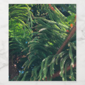 常緑の松の木の針葉樹 ワインラベル (シングルラベル)