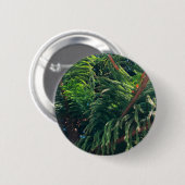 常緑の松の木の針葉樹 缶バッジ (正面&裏面)