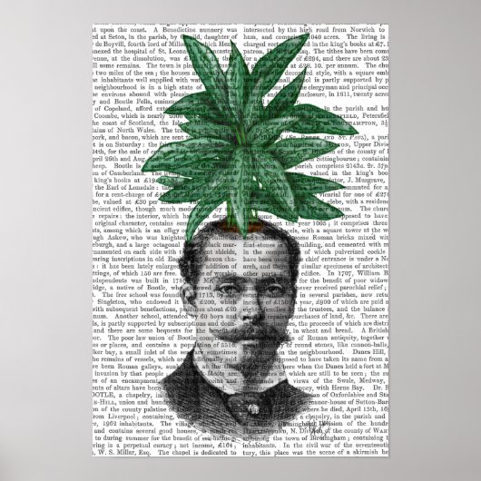 常緑中国の頭部植物頭部 ポスター (正面)