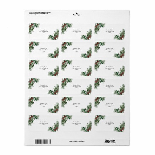 常緑枝 ラベル (フルシート)