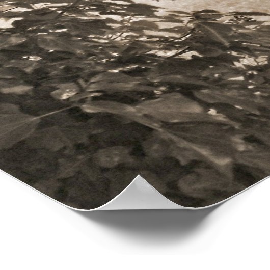 常緑樹と墓石 ポスター (角)