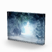 常緑樹にオオカミを使った冬の雪 フォトブロック (右)