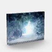 常緑樹にオオカミを使った冬の雪 フォトブロック (左)
