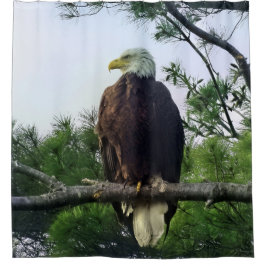 常緑樹に覆われた成熟した禿鷲 シャワーカーテン