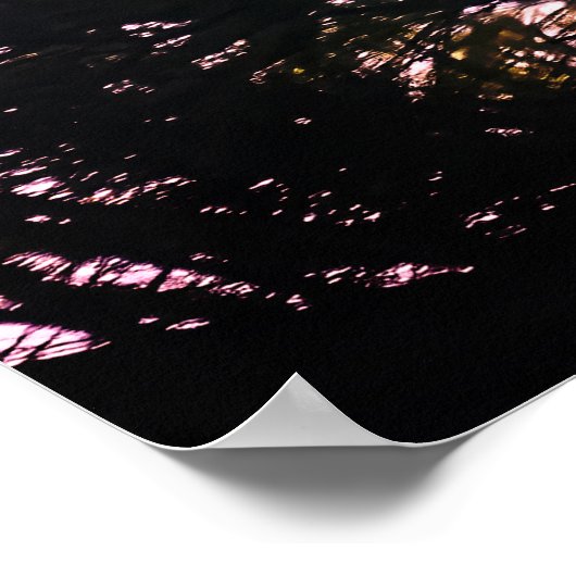 常緑樹に覆われた成熟した禿鷲 ポスター (角)