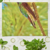 常緑樹のハチドリ キッチンタオル (折り畳み)