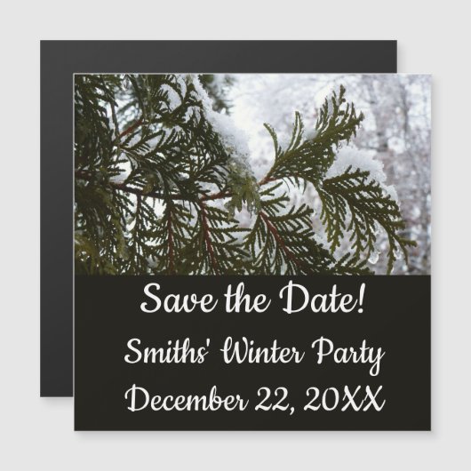 常緑樹の枝の上の雪 (正面/裏面)