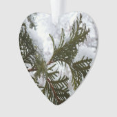 常緑樹の枝の上の雪 オーナメント (正面)