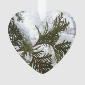 常緑樹の枝の上の雪 オーナメント (正面)