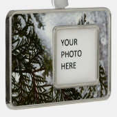 常緑樹の枝の上の雪 シルバープレートフレームオーナメント (右)
