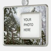 常緑樹の枝の上の雪 シルバープレートフレームオーナメント (左)