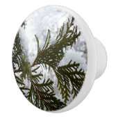 常緑樹の枝の上の雪 セラミックノブ (右)