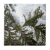 常緑樹の枝の上の雪 タイル (正面)