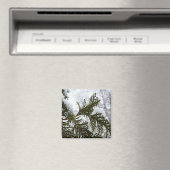 常緑樹の枝の上の雪 マグネット (インサイチュ (食洗機))