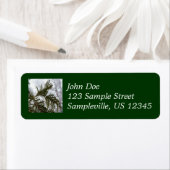 常緑樹の枝の上の雪 ラベル (インサイチュ)