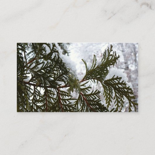 常緑樹の枝の上の雪 名刺 (裏面)