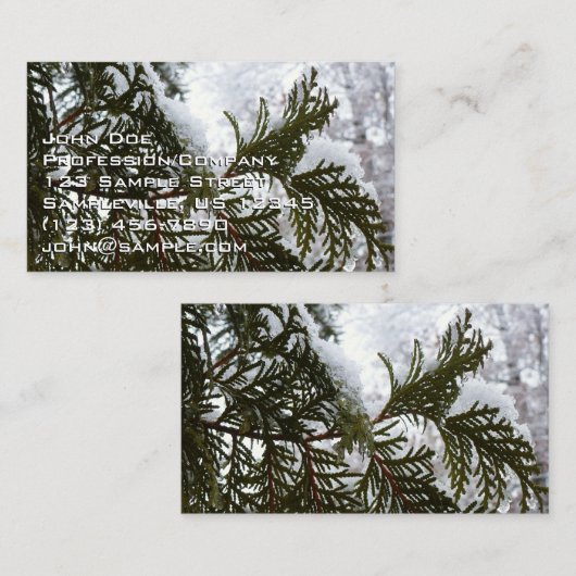 常緑樹の枝の上の雪 名刺 (正面/裏面)