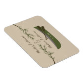 常緑樹の枝+カヌー日付磁石を保存 マグネット (右側)