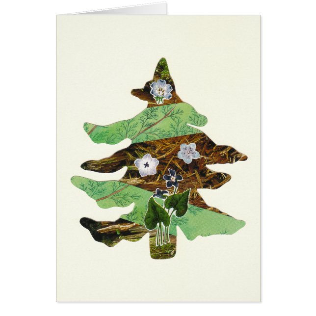 常緑樹及び花 (正面)