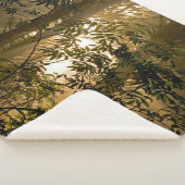 常緑樹林 |オレゴン海岸 シェルパブランケット (3/4)