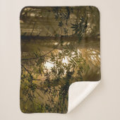 常緑樹林 |オレゴン海岸 シェルパブランケット (正面)