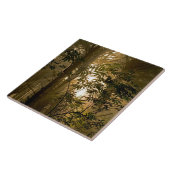 常緑樹林 |オレゴン海岸 タイル (側面)