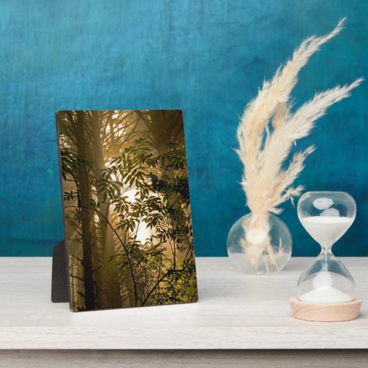 常緑樹林 |オレゴン海岸 フォトプラーク (側面)