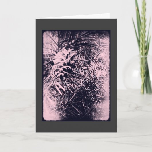 常緑樹6のカード3 カード (正面)