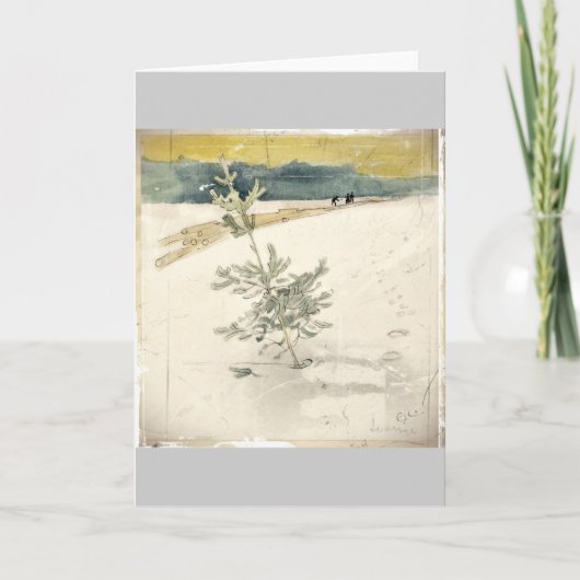 常緑樹 シーズンカード (正面)