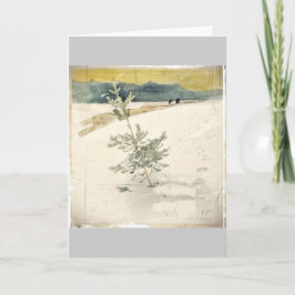 常緑樹 シーズンカード