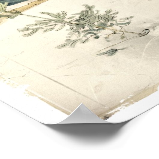 常緑樹 ポスター (角)