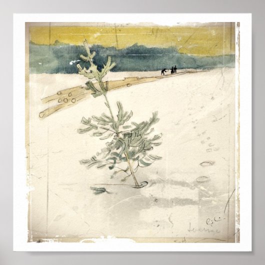 常緑樹 ポスター (正面)