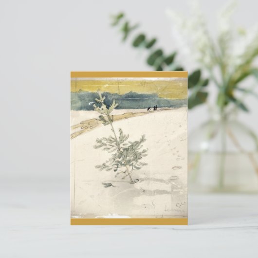 常緑樹 ポストカード (スタンド正面)