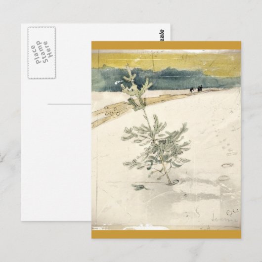 常緑樹 ポストカード (正面/裏面)