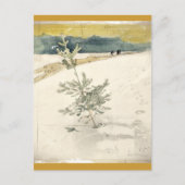 常緑樹 ポストカード (正面)