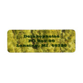 常緑樹 ラベル (正面)