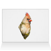 常緑（鳥）ショウジョウコウカンチョウの雌 (内部横(上))