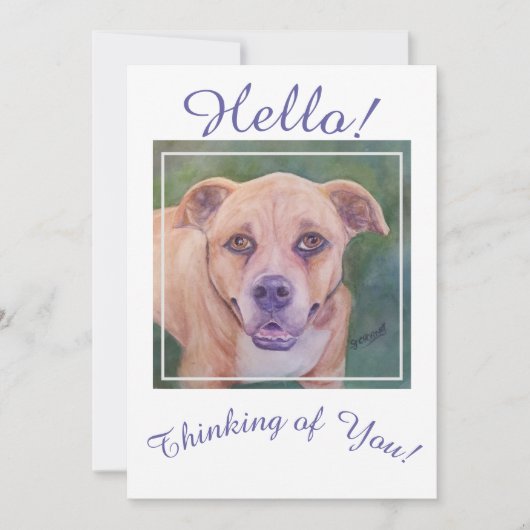 常考えるに黄金犬 シーズンカード (正面)