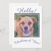 常考えるに黄金犬 シーズンカード (正面/裏面)